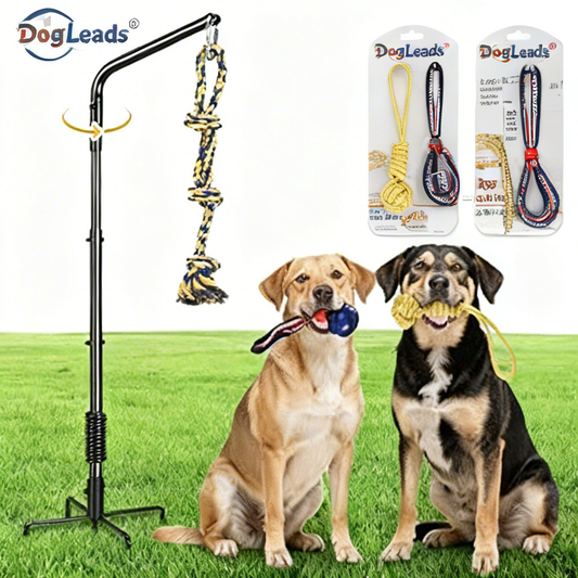 DogLeads® Dragon-Slayer Furry Explorer Dog Lead – Reflective Comfort Grip | Durable No-Pull Leash for Epic Walks, Hikes & Backyard Quests (All Dog Sizes)
